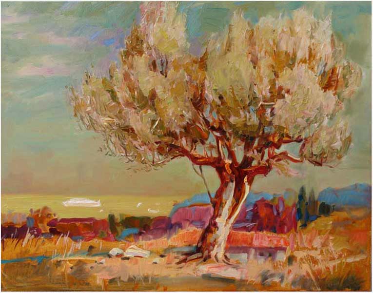 A lonely olive tree